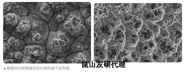 湖州蔡司湖州扫描电镜