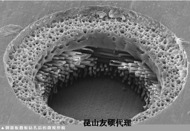 湖州蔡司湖州扫描电镜